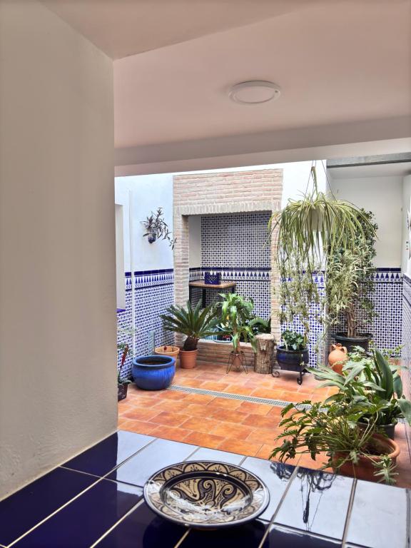 Zahrada ubytování Shanti’s Andalusian Rooms