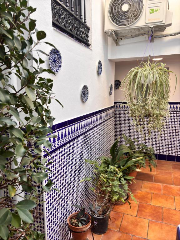 Fotografie z fotogalerie ubytování Shanti’s Andalusian Rooms v Malaze