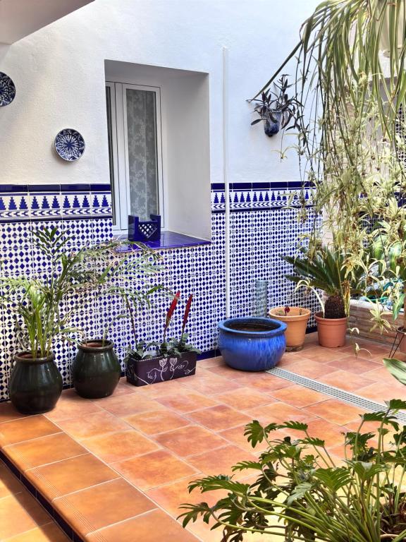 Zahrada ubytování Shanti’s Andalusian Rooms