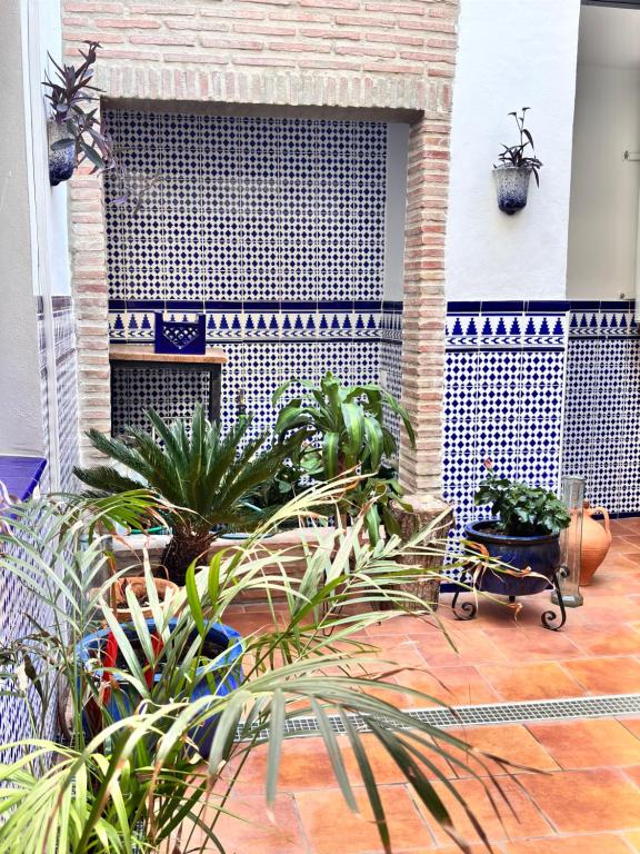 Fotografie z fotogalerie ubytování Shanti’s Andalusian Rooms v Malaze