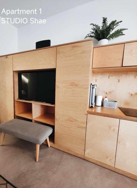 Kuchyň nebo kuchyňský kout v ubytování Pekarna apartments