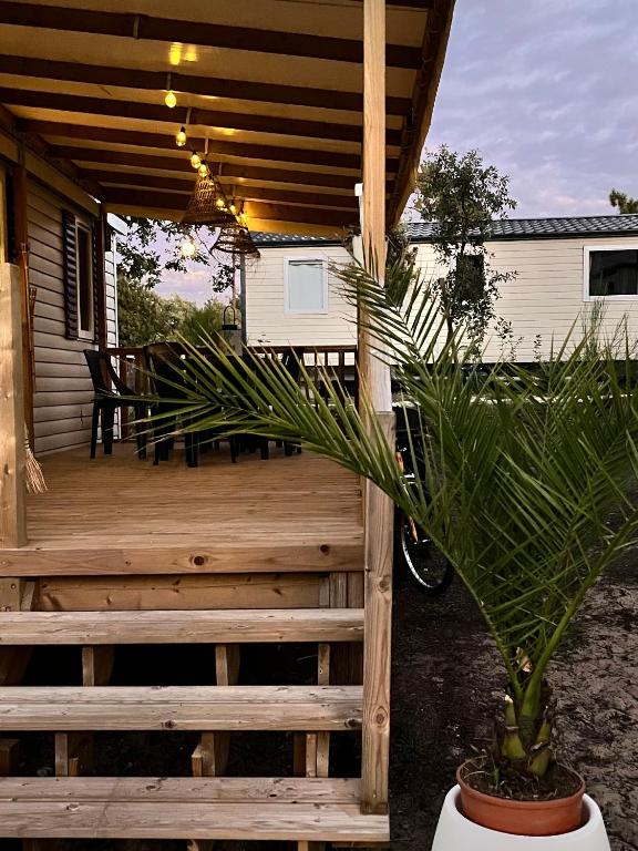 une terrasse en bois avec une table et une plante en pot dans l'établissement On est trop bien ici, à Lège-Cap-Ferret