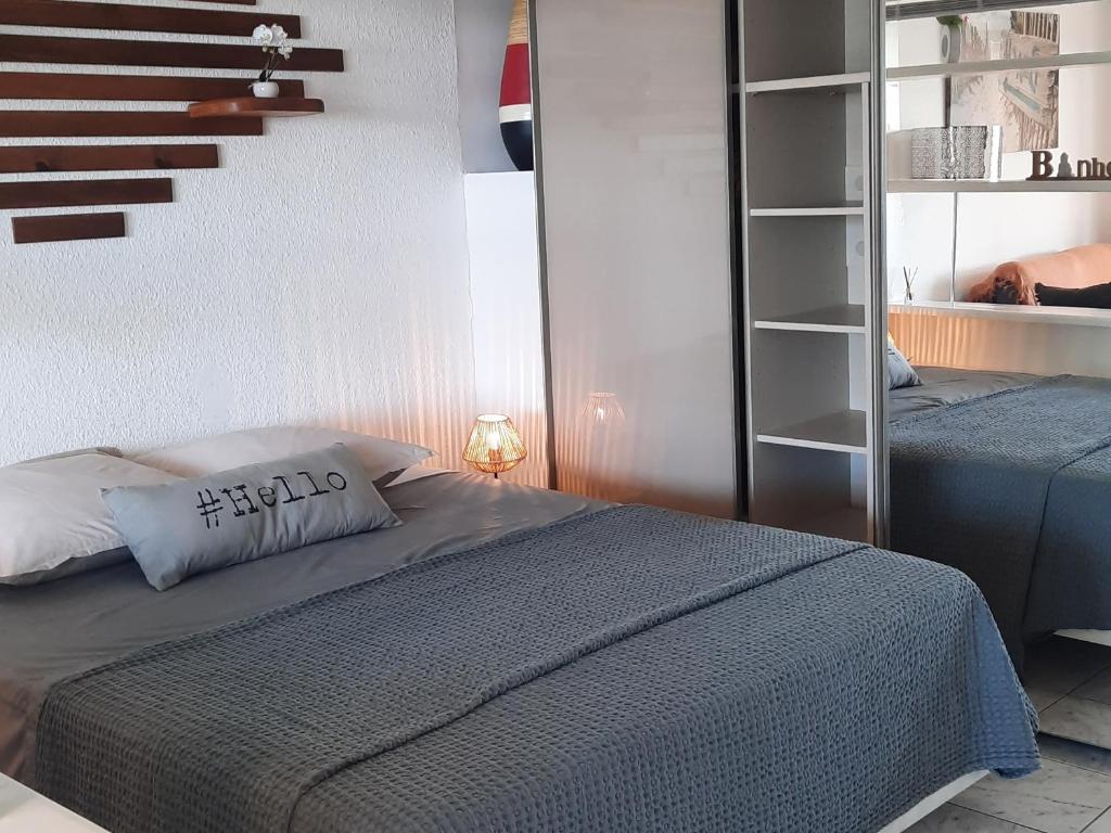 Postel nebo postele na pokoji v ubytování Studio avec piscine et vue lagon