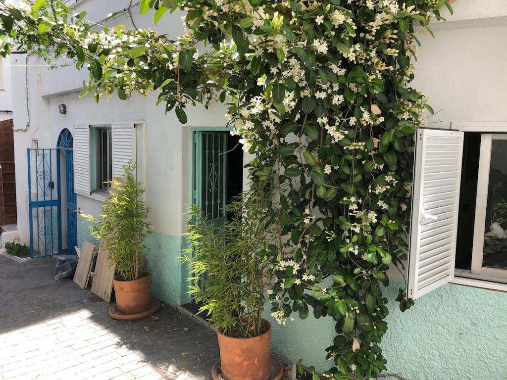Gran apartamento centro pueblo 5 personas
