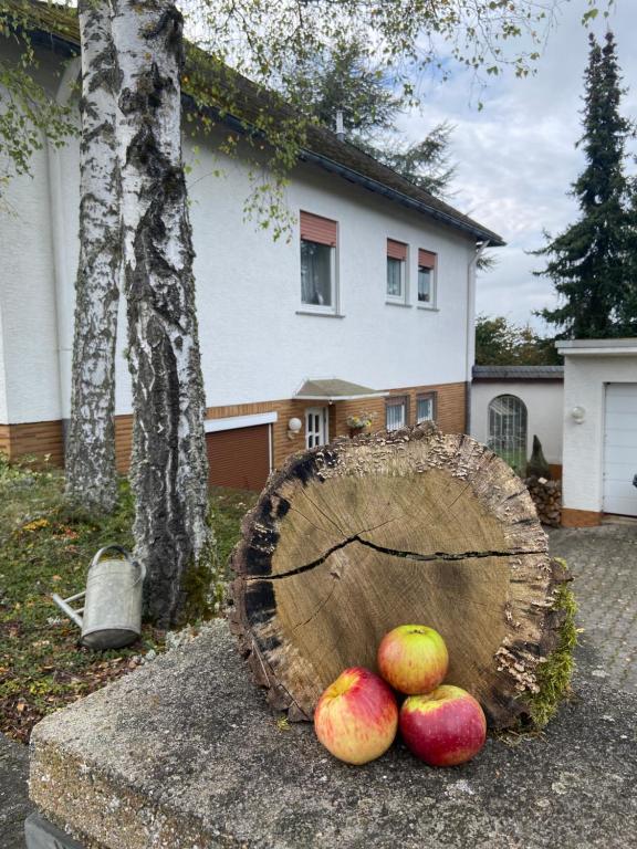 Fotografie z fotogalerie ubytování Land-Haus Sonnenhang v destinaci Lorch am Rhein