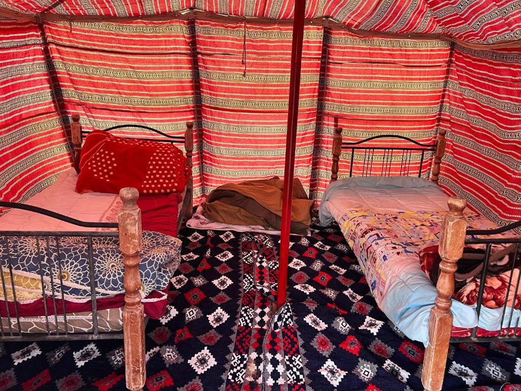 Φωτογραφία από το άλμπουμ του مخيم عروق الجوفاءOroj aljofa camp σε Ţawī Sulaym