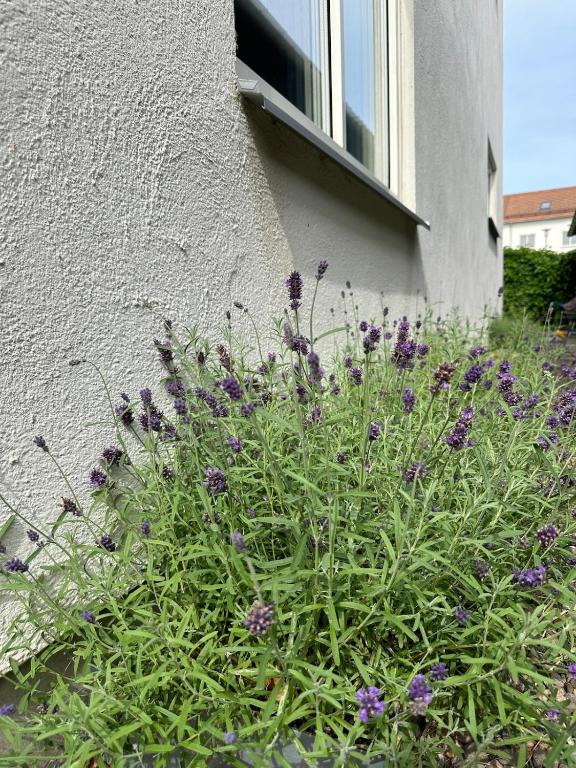 Zahrada ubytování Modernt boende med perfekt läge i Jönköping