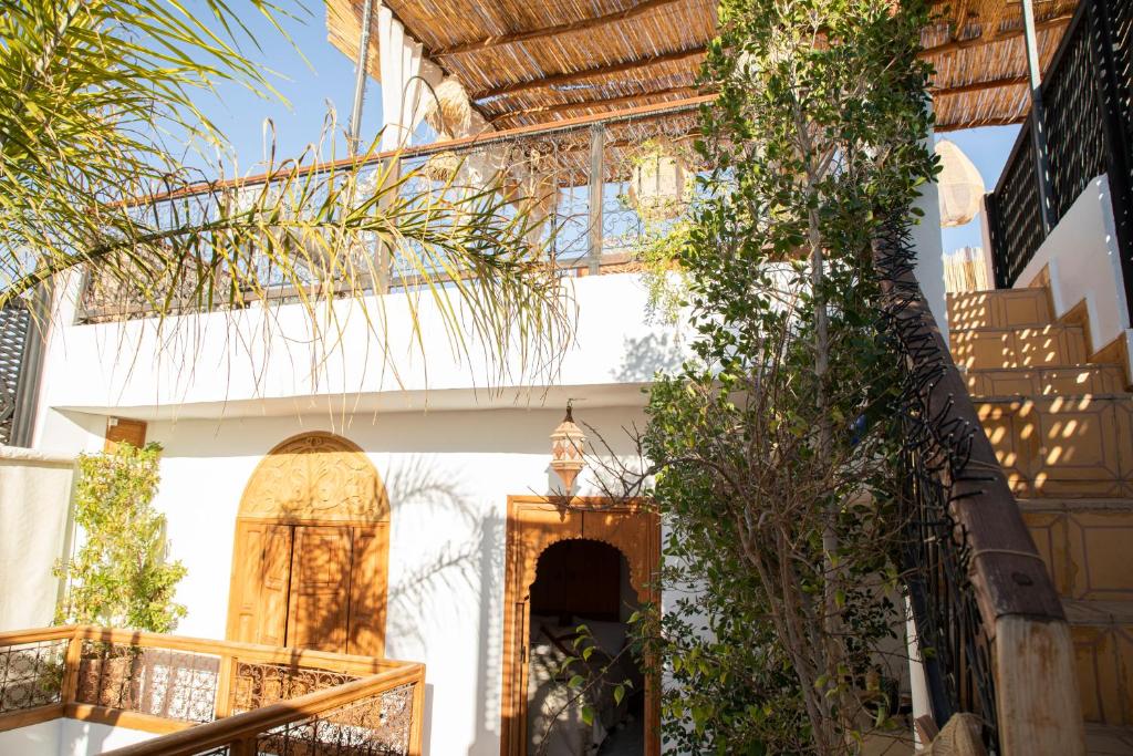 un bâtiment avec un tas de plantes et des escaliers dans l'établissement Riad Näjma privatisation, 2 Bassins, à Marrakech