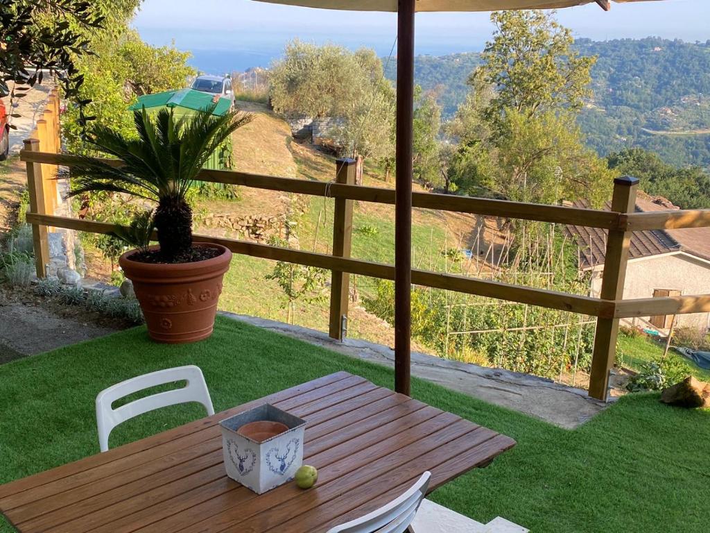 a wooden table with a potted plant sitting on a patio at La sosta al bagolaro in Rapallo