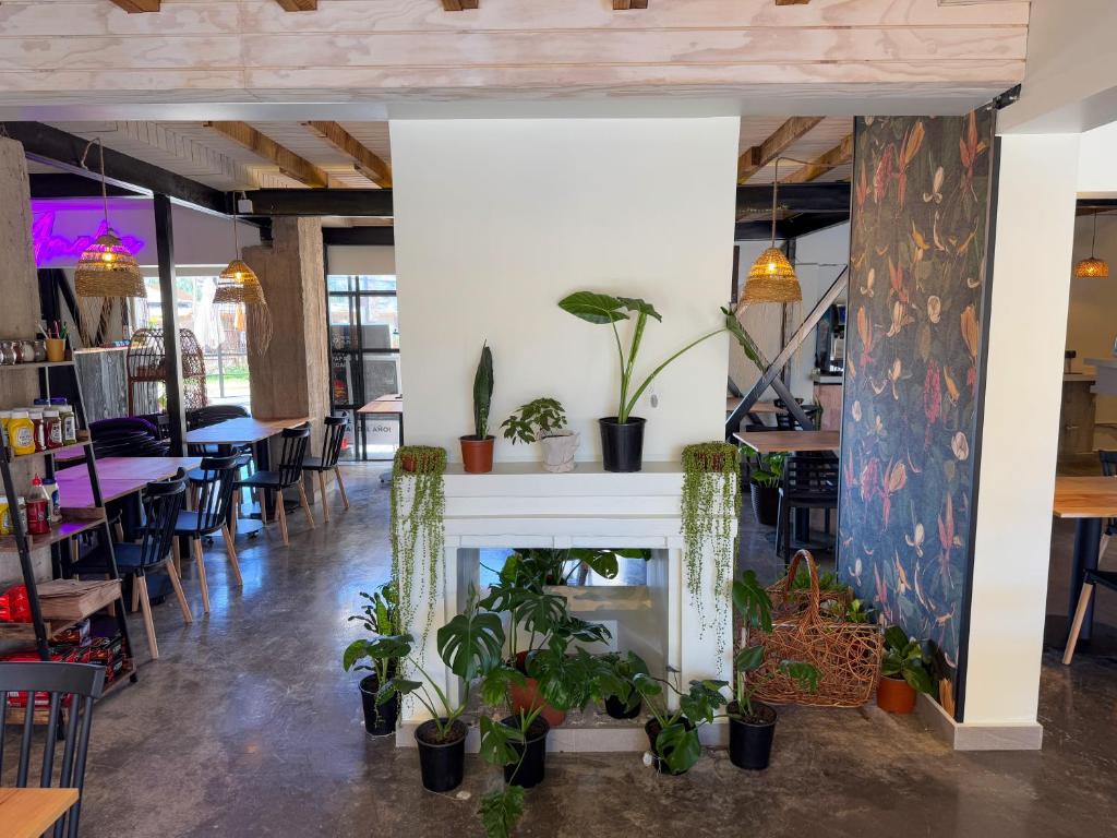 Fotografie z fotogalerie ubytování The Cool Hostel v destinaci Coquimbo