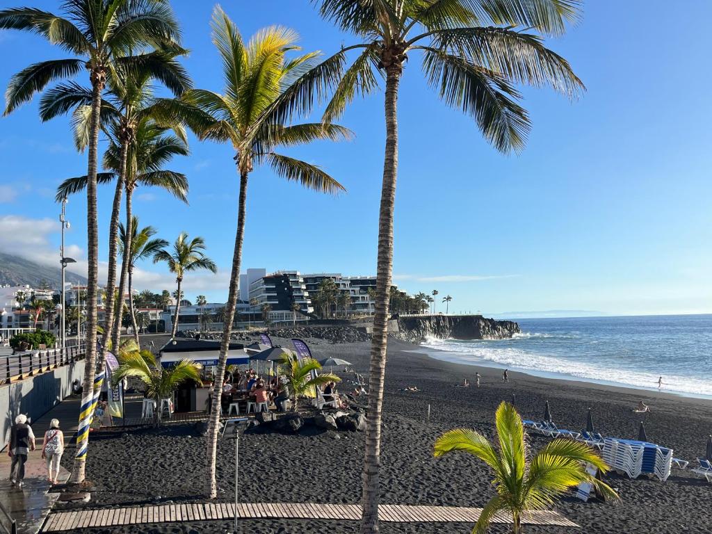 una playa con palmeras y el océano en Donde Zenojal Puerto Naos, en Puerto Naos