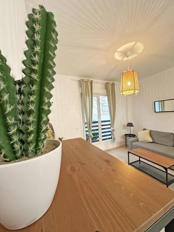 トレドにあるMaxipauの木製のテーブルに座る白鍋の植物