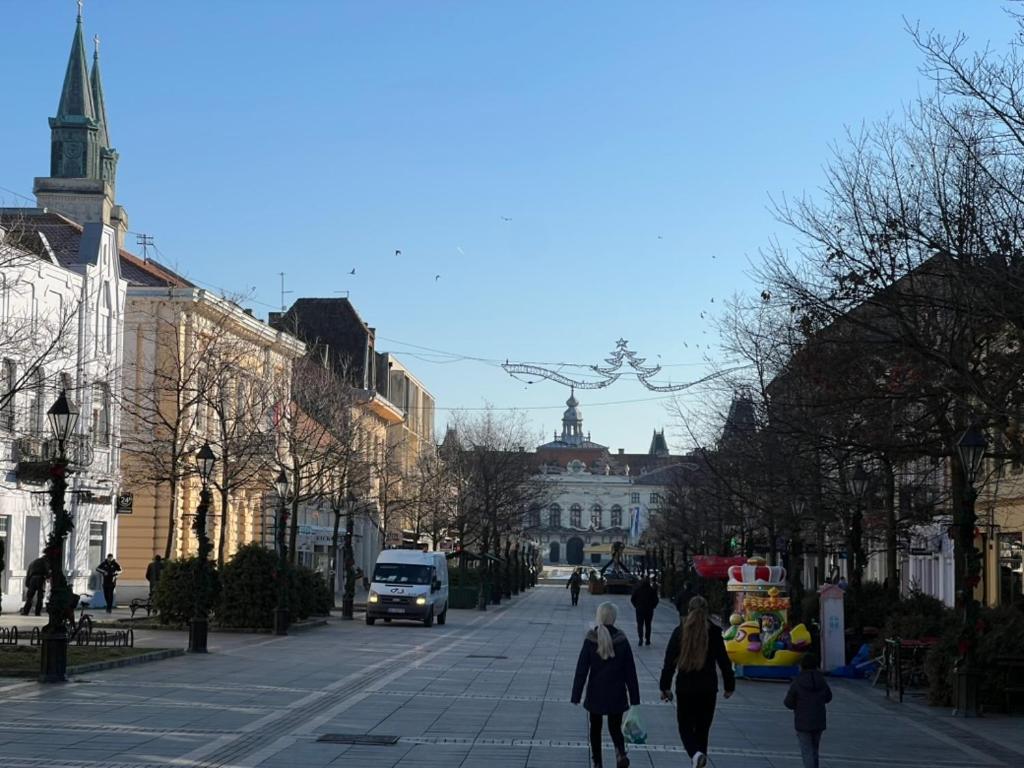 Hosté ubytování Apartman Dunja