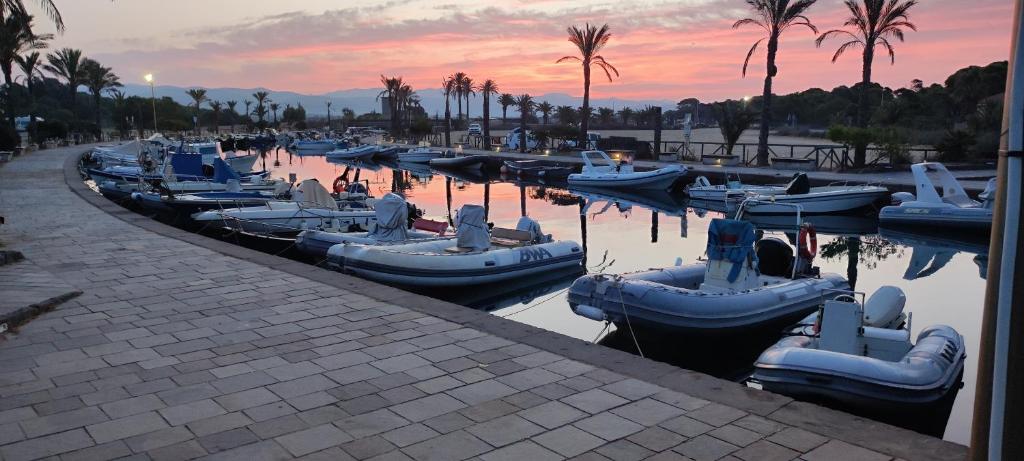 un gruppo di imbarcazioni ormeggiate in acqua al tramonto di Casa del Pino a Porto Pino