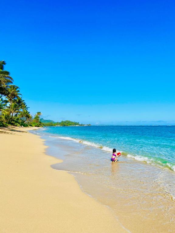 un niño jugando en el agua en una playa en Aloha Beach Retreat, Ocean Front With AC, en Hauula