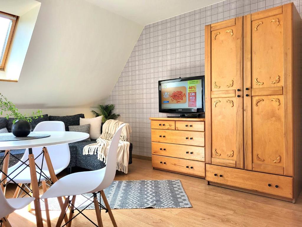 Televízia a/alebo spoločenská miestnosť v ubytovaní Apartamenty Velvet