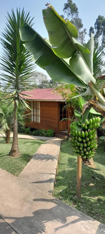 Vườn quanh Chontaqui Eco-Lodge