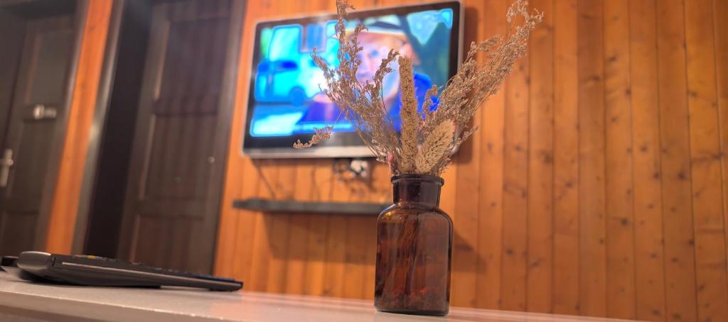TV a/nebo společenská místnost v ubytování L'appel Chalet