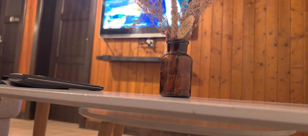 TV a/nebo společenská místnost v ubytování L'appel Chalet