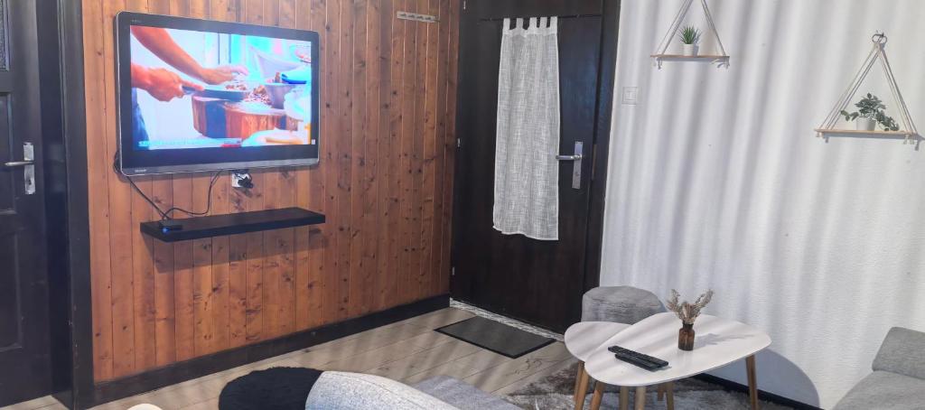 TV a/nebo společenská místnost v ubytování L'appel Chalet