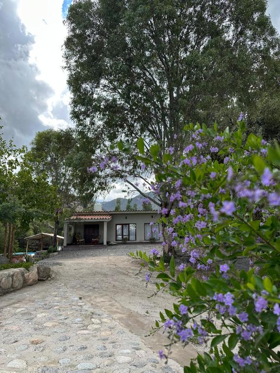 Casa del PEDREGAL rodeada de Paisajes y montañas