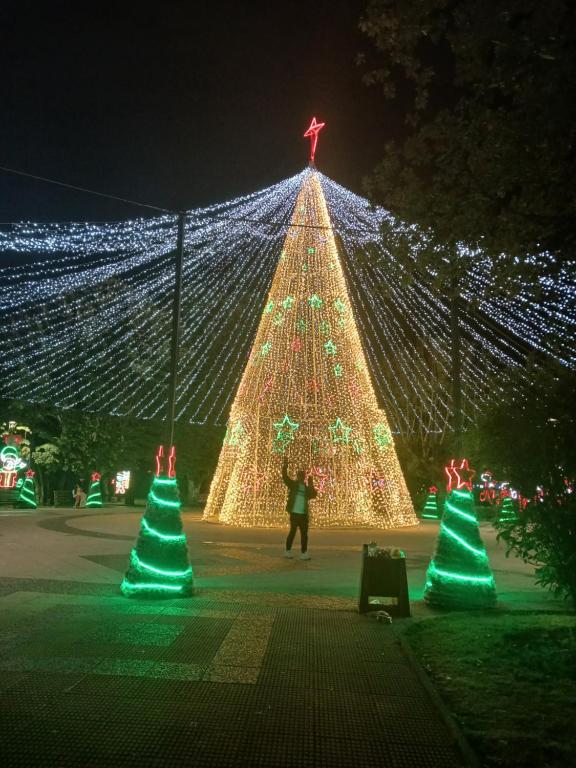 a large christmas tree is lit up with lights at Patagon karim 2 in Puerto Cahacabuco