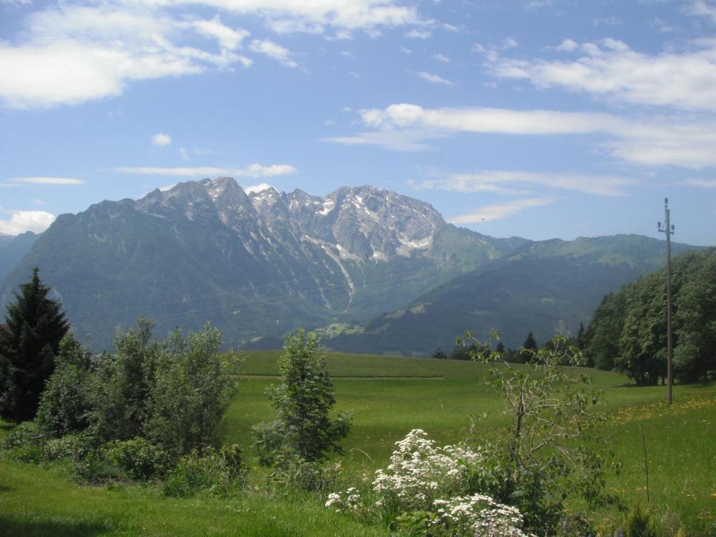 Příroda nedaleko apartmánu