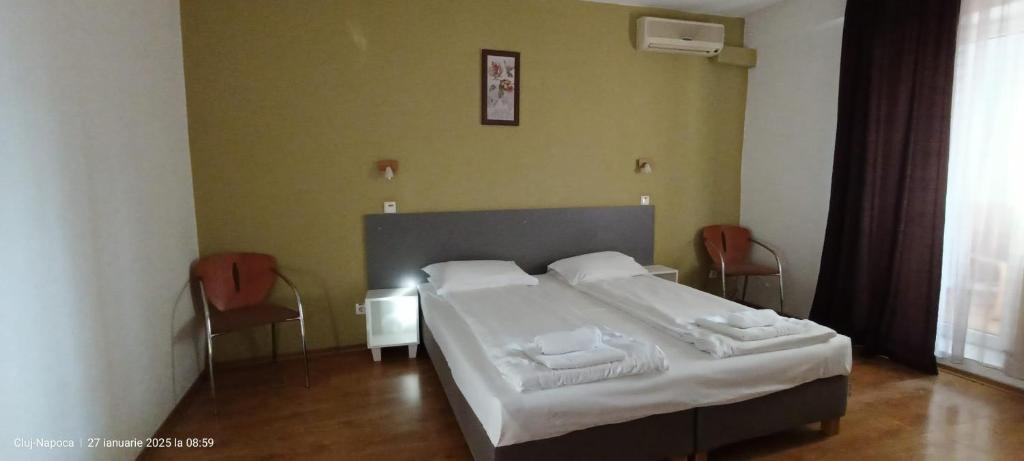 Postel nebo postele na pokoji v ubytování Hotel Liliacul