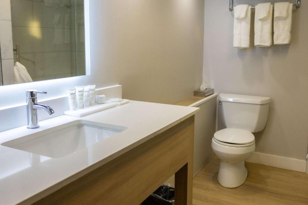 Koupelna v ubytování Radisson Hotel Fort St John