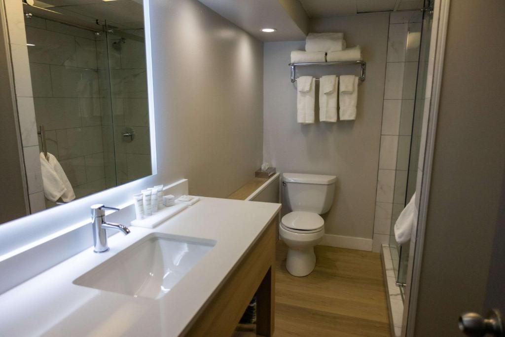 Koupelna v ubytování Radisson Hotel Fort St John