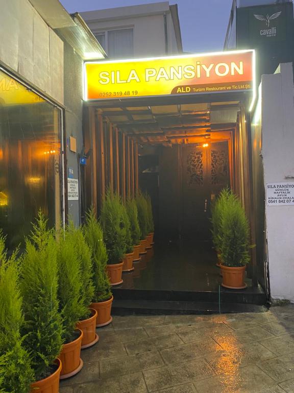 a line of potted plants outside of a building at Sıla pansiyon in Gümbet