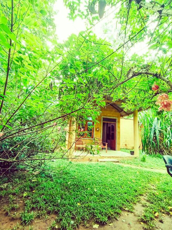 Zahrada ubytování Monkey Jungle Cottage
