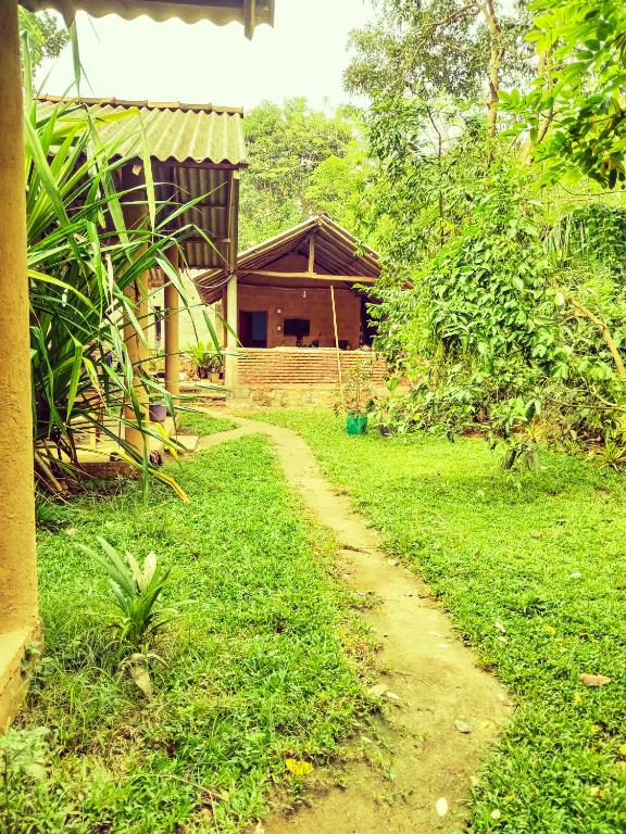 Zahrada ubytování Monkey Jungle Cottage