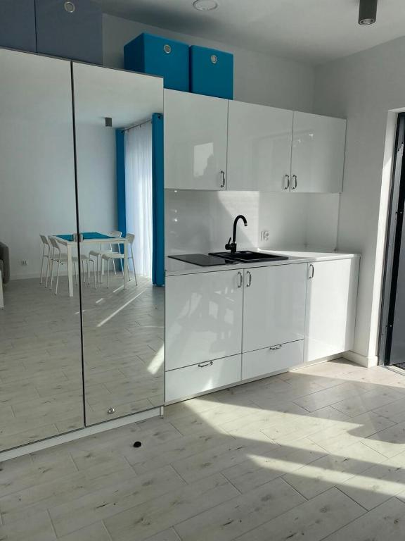 Kuchyňa alebo kuchynka v ubytovaní Wisełka Apartamenty Sea & Lake