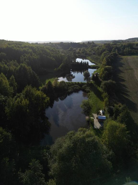 Příroda nedaleko kempu