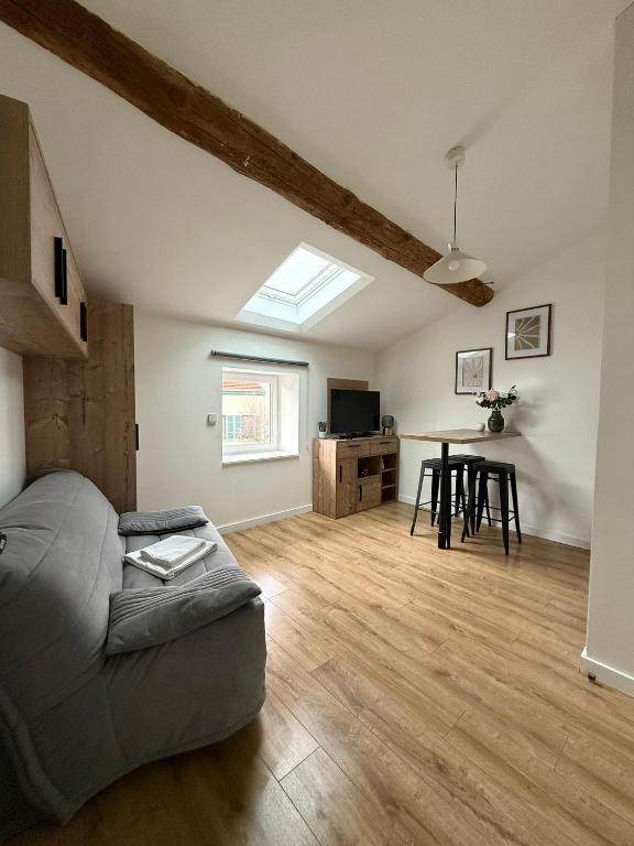 un salon avec un canapé et une table dans l'établissement Joli Studio Champagne au Mont d'or, à Champagne-au-Mont-dʼOr