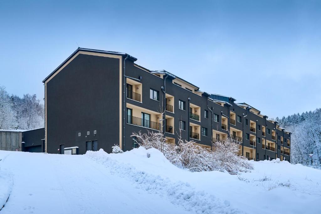 Luční apartmány Dobromysl a Laskavec v zimě