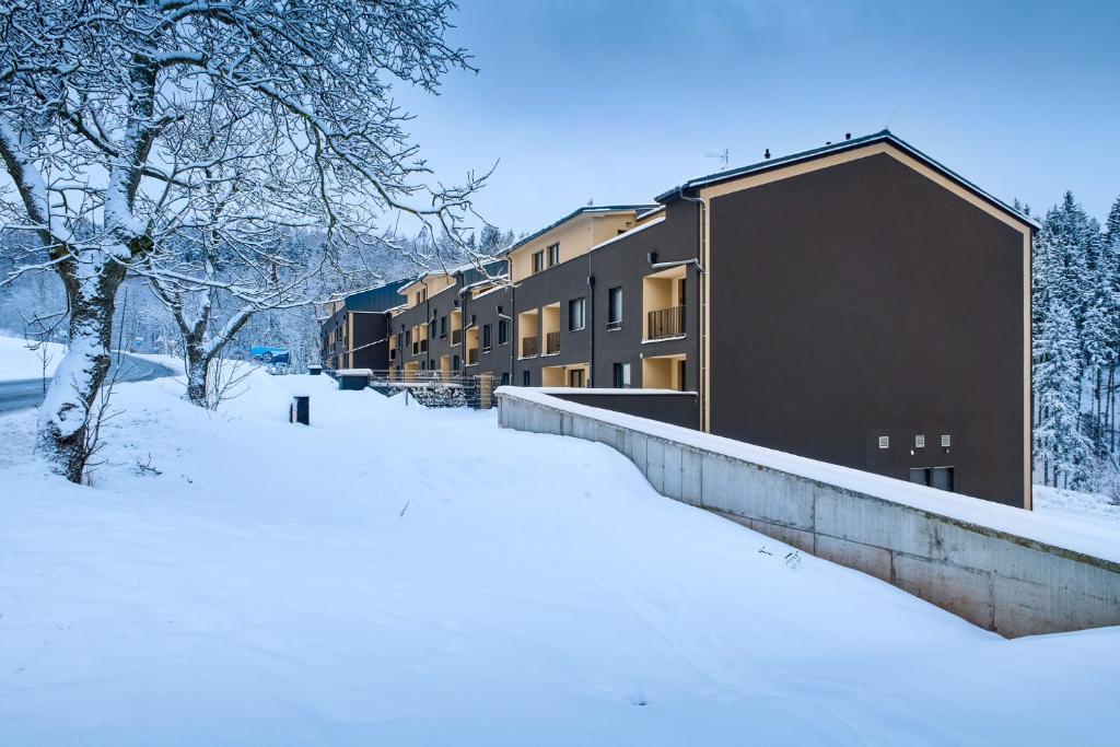 Luční apartmány Dobromysl a Laskavec v zimě