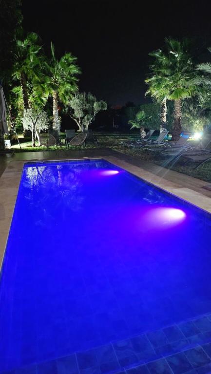 Πισίνα στο ή κοντά στο Villa Firdaous