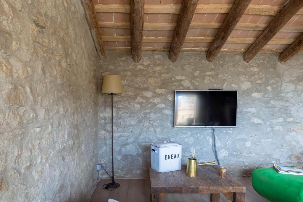 TV a/nebo společenská místnost v ubytování AS Palau dels Alemanys Suites Boutique Monument