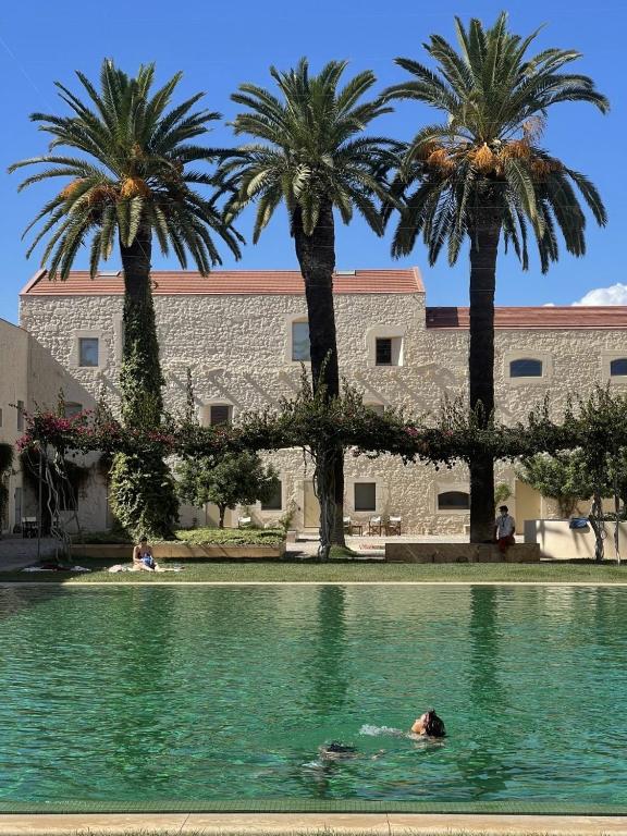 a person swimming in a pool with palm trees at Rustic House with 2 Pools in a Monastery in Tavira