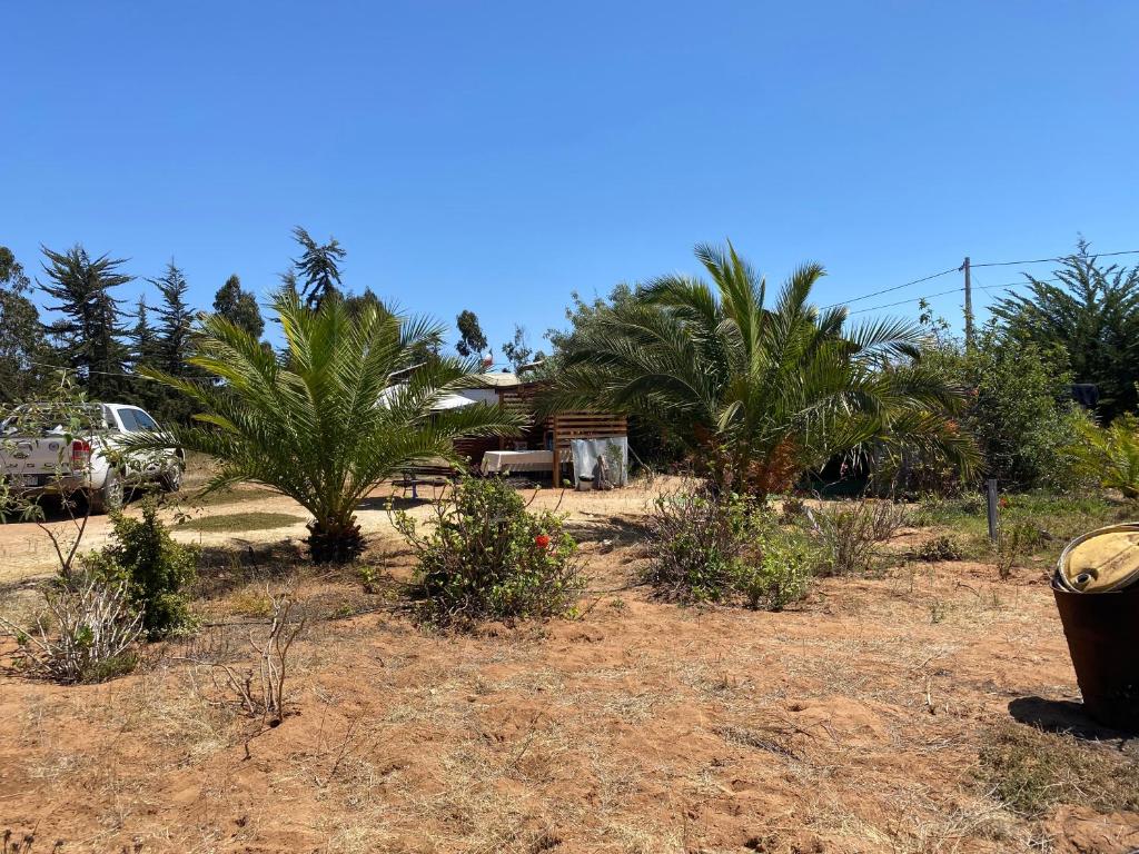 Zahrada ubytování Cabaña con Piscina Guanaqueros