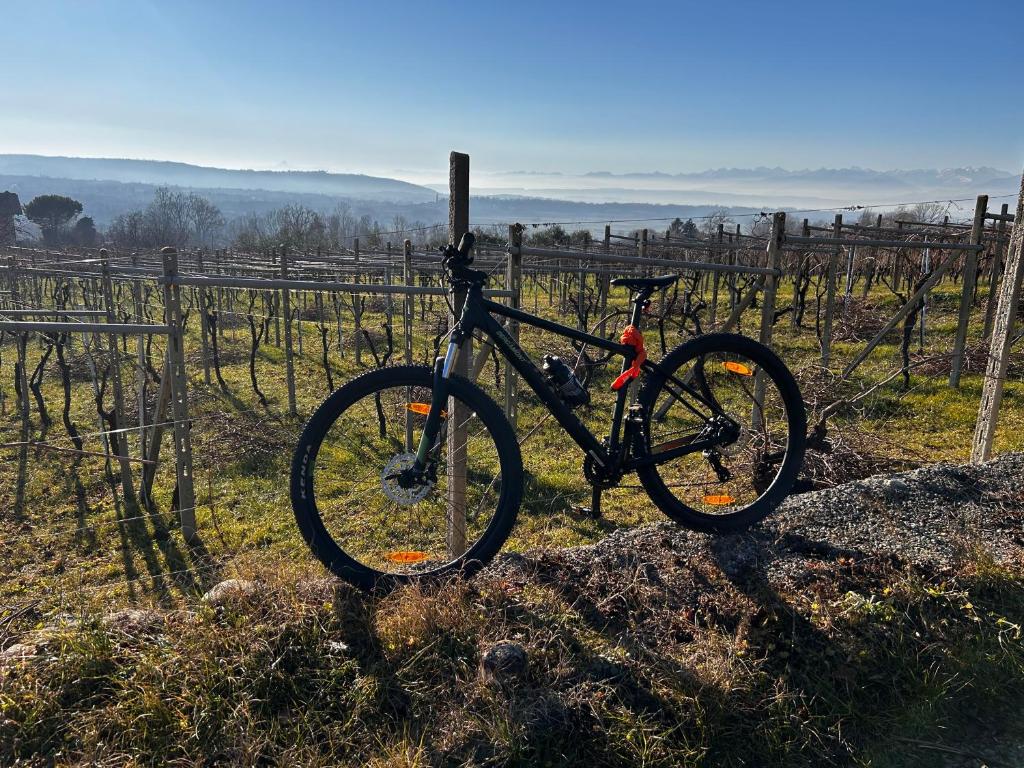 Jízda na kole v ubytování Sapore Piemontese nebo okolí