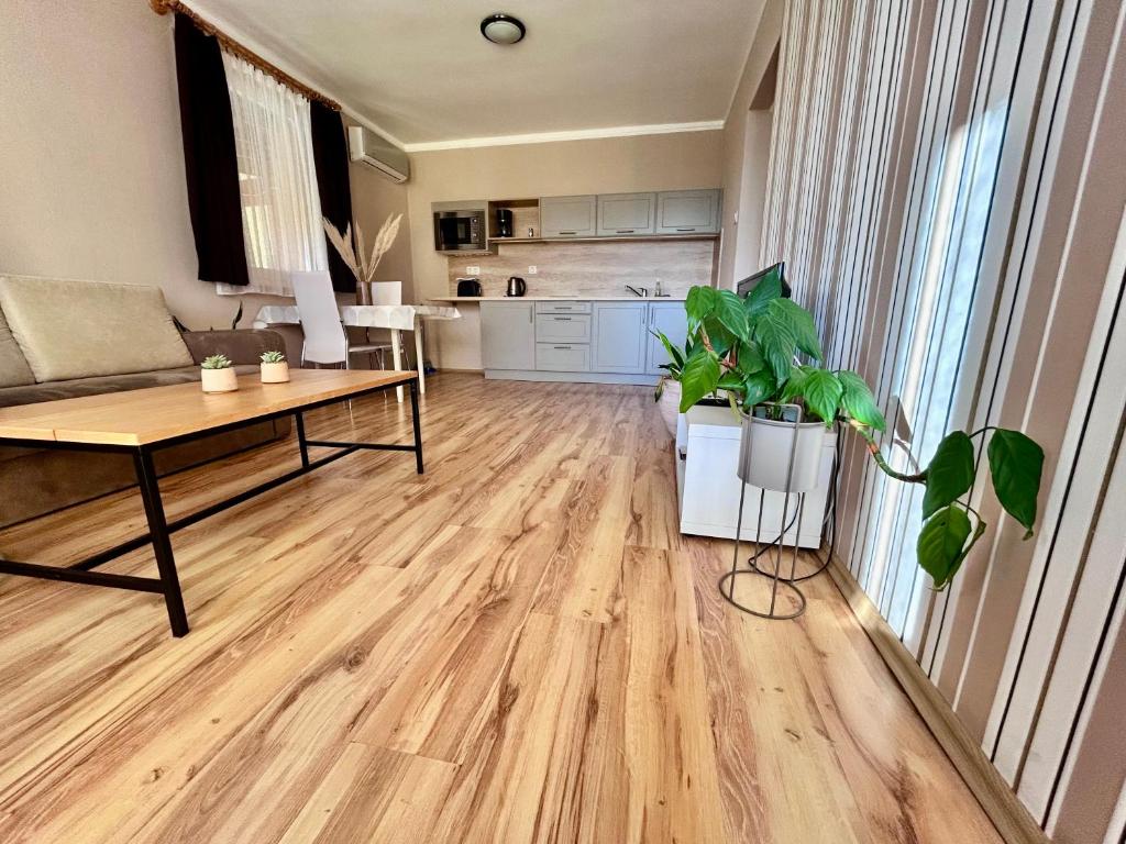 Kuchyň nebo kuchyňský kout v ubytování Nemes Apartmanház