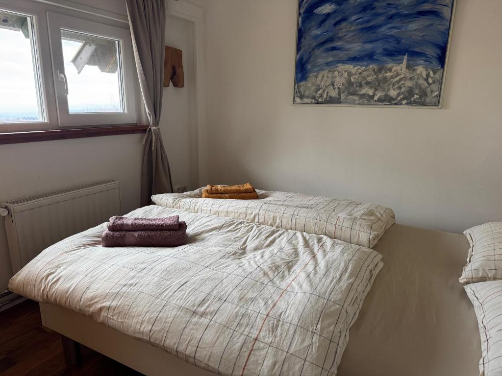 Postel nebo postele na pokoji v ubytování Guest House Lagotto's Peak