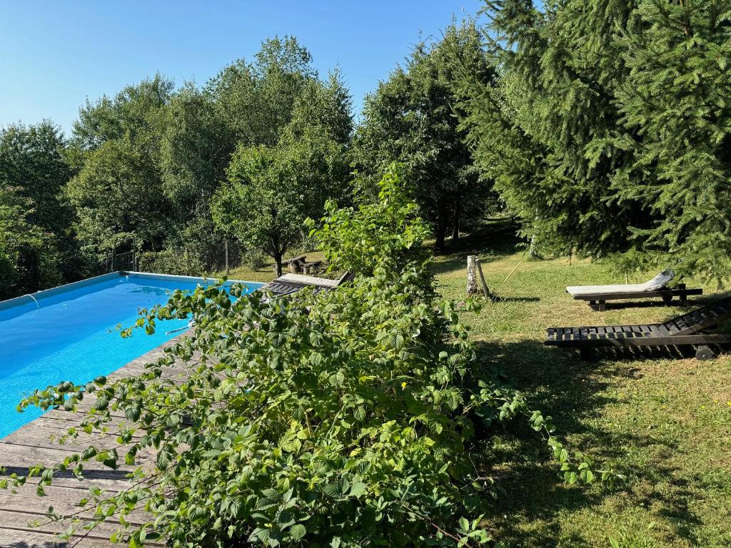 Bazén v ubytování Guest House Lagotto's Peak nebo v jeho okolí