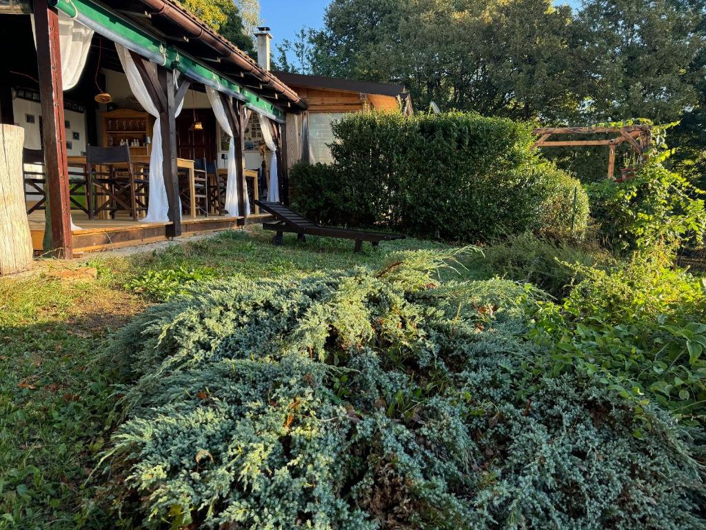Zahrada ubytování Guest House Lagotto's Peak