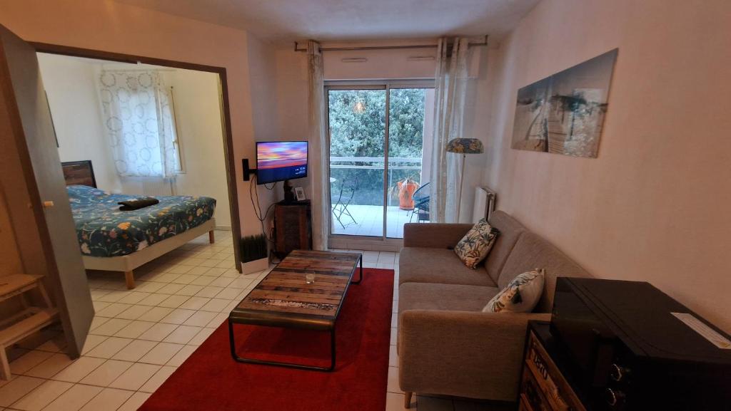 ein Wohnzimmer mit einer Couch und einem Tisch und einem Fernseher in der Unterkunft Cosy appartement Beaux-Art à 5min du Corum in Montpellier