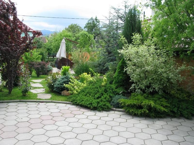 Hotel Oasis - Resim 43