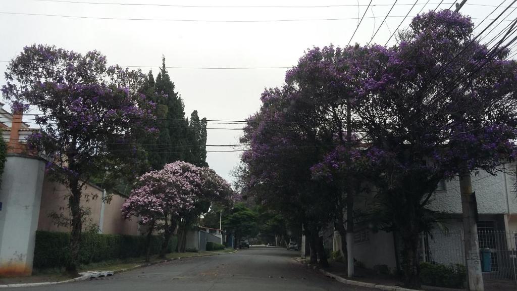  Now Alto Da Boa Vista